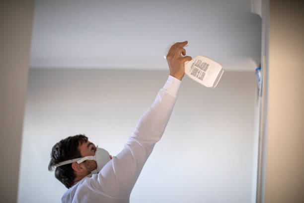 Best DIY Mold Remediation Support Services in Rose Lodge, OR