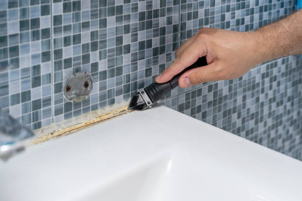 Trusted Rose Lodge, OR Mold Remediation Experts