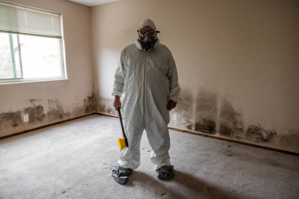 Best White Mold Remediation in Rose Lodge, OR